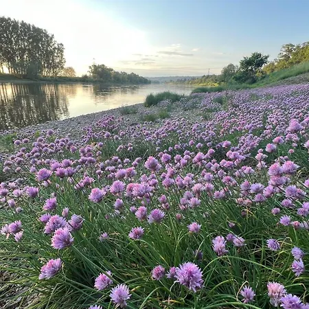 Am Kiessee Birkwitz * Pirna