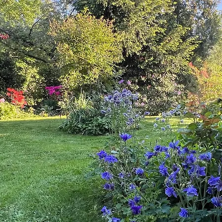 Am Kiessee Birkwitz Pirna