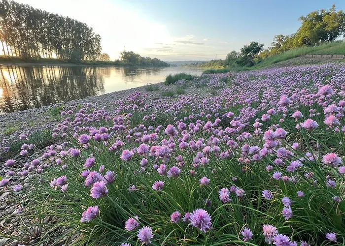 Am Kiessee Birkwitz * Pirna