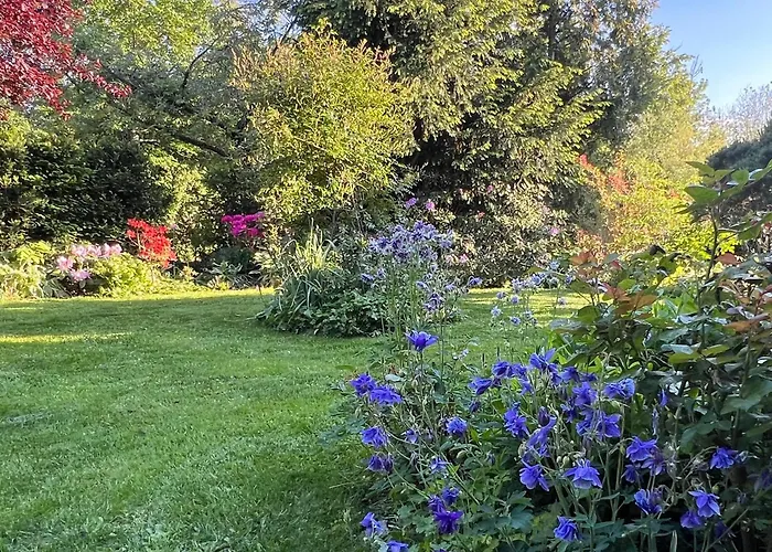 Am Kiessee Birkwitz Pirna